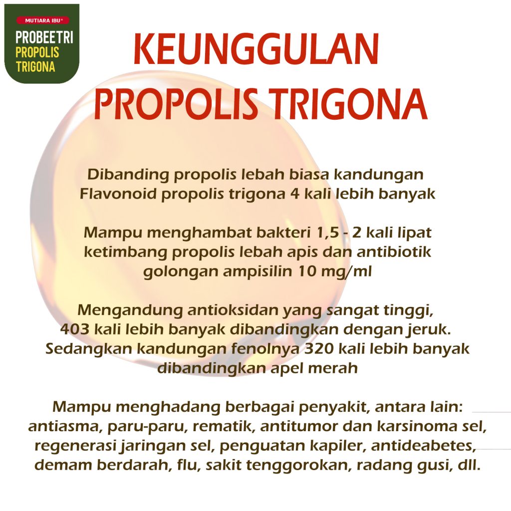 Keunggulan Propolis Trigona