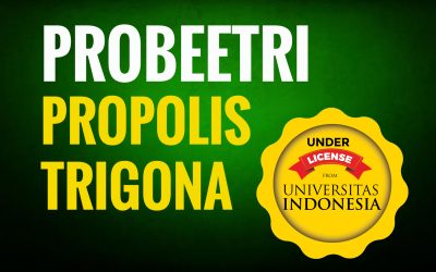 Apa itu Probeetri?