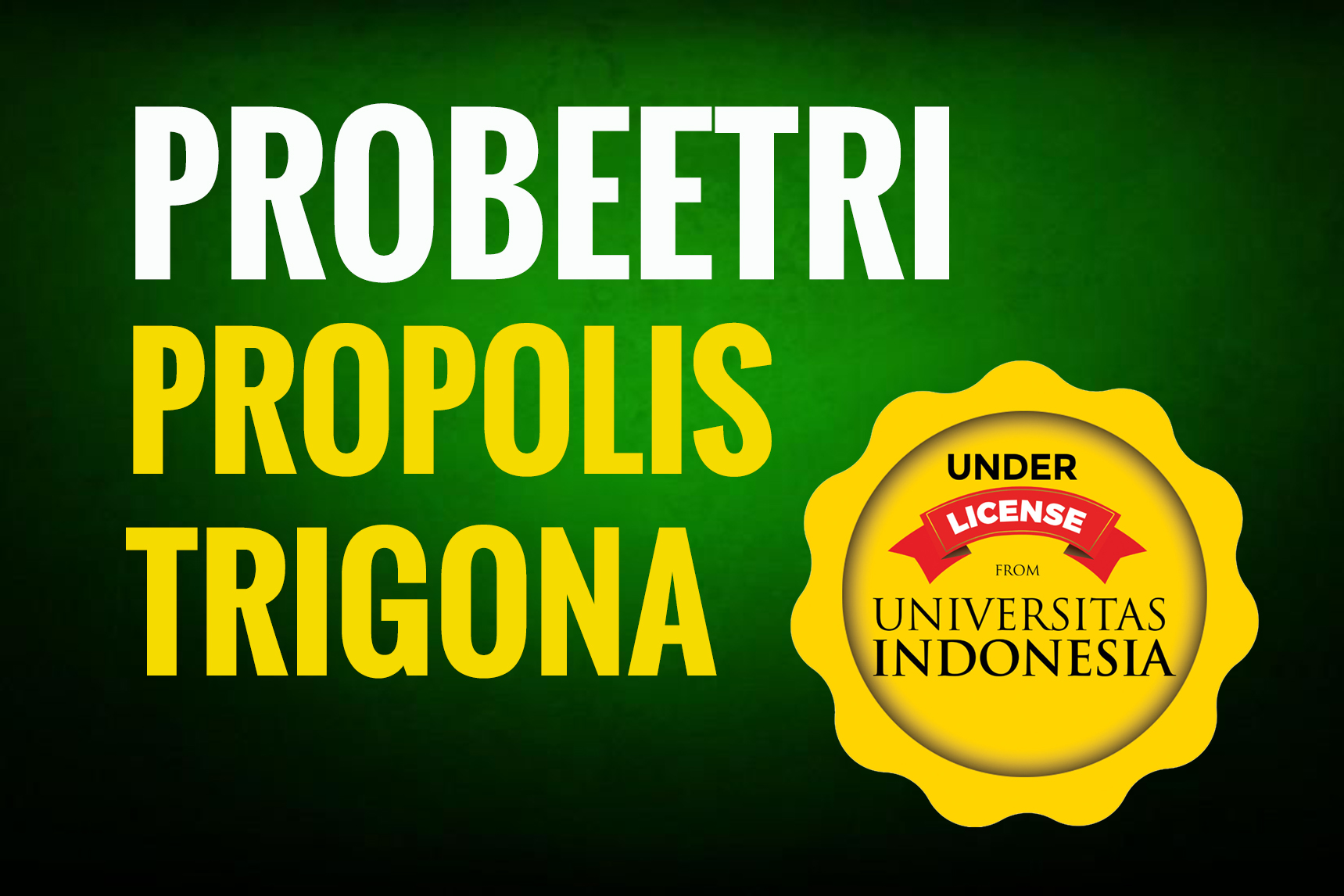 LOGO PROBEETRI WEB