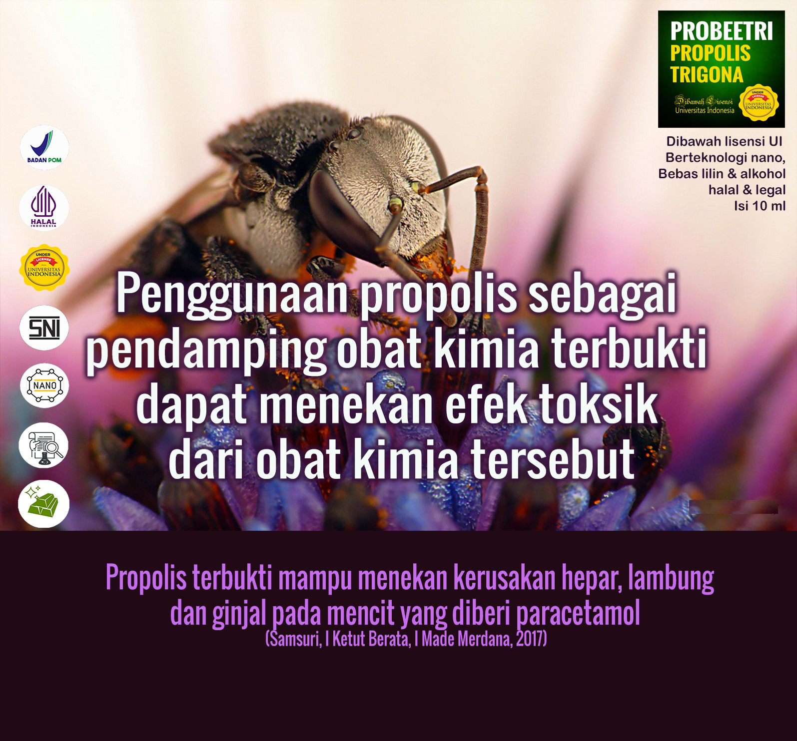 Pendamping Obat Kimia 2